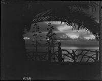 Woman in silhouette at Palisades Park, Santa Monica, 1925-1928