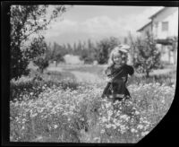 Carolyn Bartlett in field of flowers, Santa Monica, circa 1926
