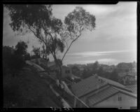 View from residential hillside in Santa Monica Canyon towards the Pacific ocean, 1928