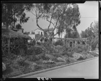 Pergola with thatched-roof and rustic wood garden structures, Santa Monica, 1928