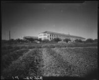 Tuberculosis hospital, National Home for Disabled Volunteer Soldiers, Pacific Branch, Los Angeles, circa 1928