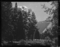 Meadow, trees, and mountains, Yosemite National Park, 1941