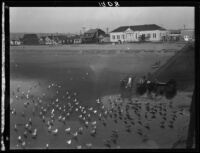 Birds in surf, men and boats, and beach houses, Newport Beach, 1929