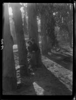 Clara Bartlett and another woman among eucalyptus trees, Laguna Beach, 1925