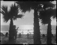 Carolyn Bartlett, palm trees, and ocean, Laguna Beach, 1925