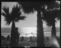 Carolyn Bartlett, palm trees, and ocean, Laguna Beach, 1925