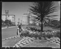 Carolyn Bartlett seated near geometric flower bed in the garden of the Municipal Auditorium, Long Beach, [1932]