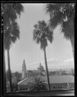Palm trees and St. Vincent Catholic Church, Los Angeles, [1920-1939?]