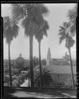 Palm trees, St. Vincent Catholic Church, and Automobile Club of Southern California, Los Angeles, [1920-1939?]
