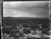 Prairie and clouds, Kansas, Colorado, or New Mexico, 1925