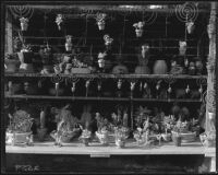 Potted succulents and cacti at merchant stand, Olvera Street, Los Angeles, 1931