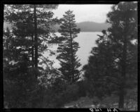 Lake, hillside, and pine trees, Lake Arrowhead, 1929