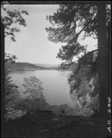 Lake and trees, Lake Arrowhead, 1929