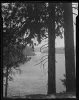 Lake and trees, Lake Arrowhead, 1929