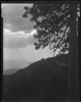 Mountains, pine tree, and sun through clouds, near Lake Arrowhead, 1929
