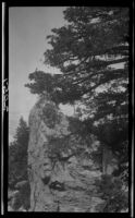 View towards rock outcrop on Cucamonga Peak, Cucamonga Wilderness, 1924