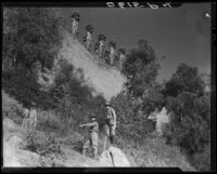 Palisades Park cliffs with palm trees, with Boy Scouts marking trails, Santa Monica, 1931, 1937, or 1939
