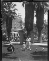 Group feeding pigeons in park, Long Beach, 1929