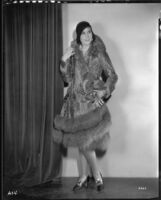 Peggy Hamilton modeling a full-length caracul coat with red fox hem, 1930