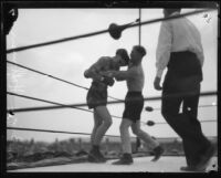 Boxers Young Stribling and Eddie Huffman fighting at Ascot Arena, Los Angeles, 1925