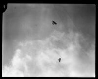 Two U.S. Army biplanes flying maneuvers during United Airport air show in Burbank, 1930