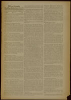 Deutsches Nachrichtenbüro. 3 Jahrg., Nr. 1049, 1936 August 13, Mittags-Ausgabe