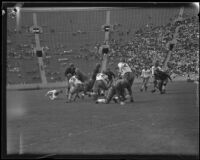 Football game at the Coliseum, Los Angeles, 1920-1939