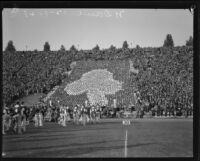 USC's rooting section depicts a shamrock as a show of respect to Notre Dame's Fighting Irish, Los Angeles, 1928