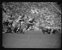 Trojan ball-carrier, No. 61, is tackled by Utah's No. 42 during their football game, Los Angeles, 1932
