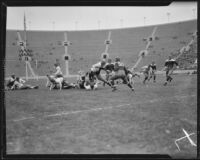UCLA Bruin runs with the ball during the football game between UCLA and St. Mary's, Los Angeles, 1934