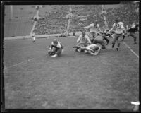 St. Mary's runner is tackled by a UCLA Bruin during their football game at the Coliseum, Los Angeles, circa 1934