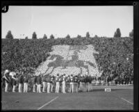 USC's rooting section depicts a Trojan astride a warhorse during halftime of the USC and Notre Dame football game, Los Angeles, 1928