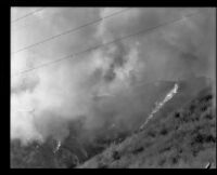 Hillside on fire in the Arroyo Seco canyon, Los Angeles, 1930