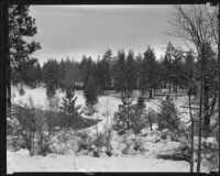 Snow an Lake Arrowhead, 1920-1939