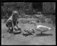 Jeanne De Bard feeds some ducks, Los Angeles, 1926