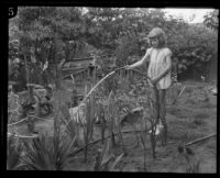 Helene Pirie waters some plants, Los Angeles, 1926