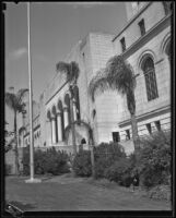 Newly-planted palm trees in front of City Hall, Los Angeles, 1928-1939