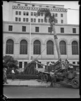 Workers unloading crated palm trees in front of City Hall, Los Angeles, 1928-1939