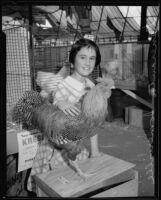 Veneranta Somerville with a first place rooster at the LA County Fair, Pomona, 1934