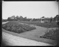 Rose garden in Exposition Park, Los Angeles, 1928-1939