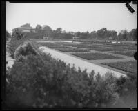 Rose garden in Exposition Park, Los Angeles, 1928-1939