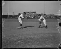 Baseball player Orville Mohler catching a ball thrown by a coach, Los Angeles, 1933-1939