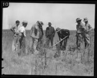 Investigators dig for evidence near the Northcott family's ranch, Riverside County, 1928