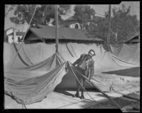 Pastor Harold L. Proppe helps raise a tent for church services after his church burned down, Los Angeles, 1935
