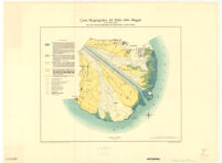 Carta fitogeografica del delta della Maggia