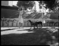 Ruth Bertrand and another young woman with dogs, Long Beach, 1940