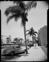 Street scene on Beverly Drive, Beverly Hills, 1949