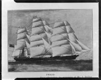 Clipper ship, Tweed, photographed reproduction, 1951