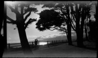 Palisades Park in silhoutte, 1946-1965