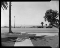View of ocean on Ocean Ave. and edge of cliffs, Santa Monica, circa 1952